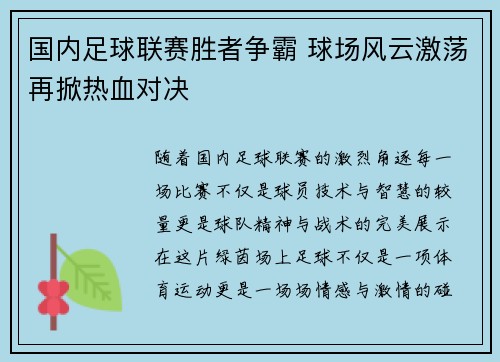 国内足球联赛胜者争霸 球场风云激荡再掀热血对决