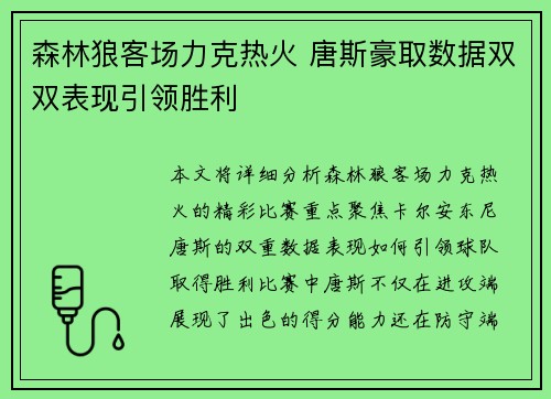 森林狼客场力克热火 唐斯豪取数据双双表现引领胜利